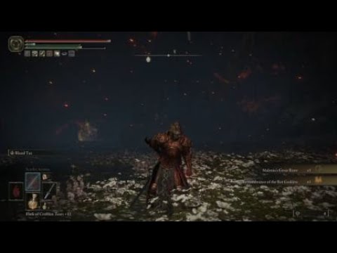 Malenia blade of Miquella - Dn