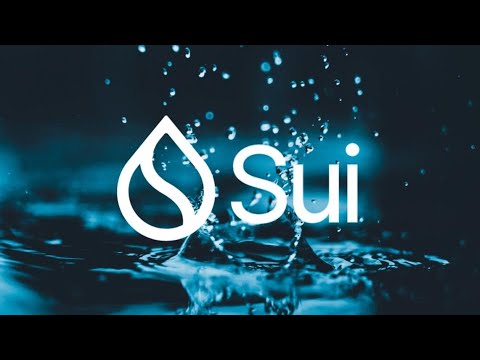 SUI：最近鲸鱼活动增加