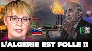 L'ALGERIE SIGNE UN CONTRAT MALADE AVEC L'EUROPE POUR ...