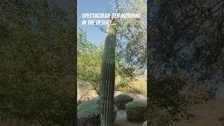 Zen Morning, #desertlife Life! I Love staying on Mountain Sides! #arizonadreams on #EchoCanyon