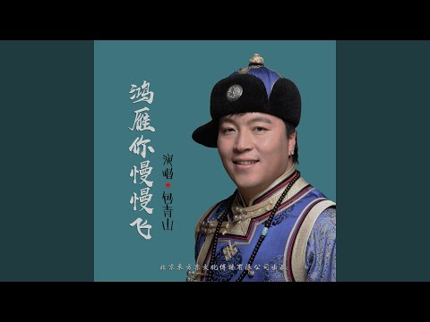 鸿雁你慢慢飞