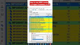 How to see WBS Levels & Project Summary in P6 #primavera #primaverap6 #shorts