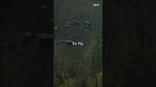 When American stealth planes were humiliated by Serbian missiles
