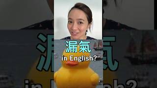 🐤漏氣 in English?