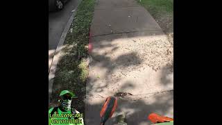 If you avoid filing taxes, you will get rejected for loan applications #lawncare #cuttinggrass