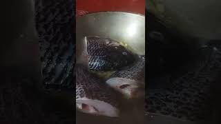 Ginataang tilapia #tilapia #ginataangtilapia #pinoyrecipe #trendingreels #trenfingshorts