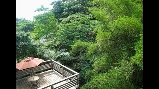 [雙溪區] 山中威尼斯民宿 (住宿)