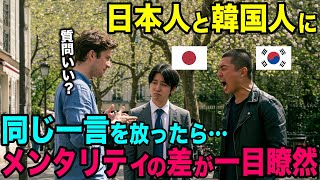 【海外の反応】「日本人と韓国人の違いがわかる驚愕の実験結果が…」日韓の国民性の違いに世界が騒然【総集編】