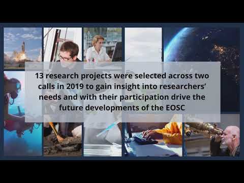 EOSC-hub Early Adopter Programme