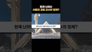 현재 난리난 서울대 교수의 정체