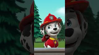 小狗們把所有動物帶回了農場！#PAWPatrol #Shorts 兒童卡通