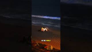 Natural Sea Lights #facts #wowfact