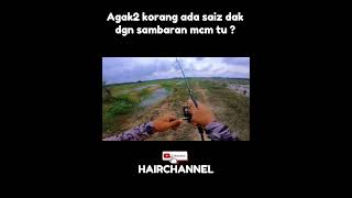 Mesti saiz besar2 bas kalau camni #castingharuan #snakeheadfishing #snakeheadfishing
