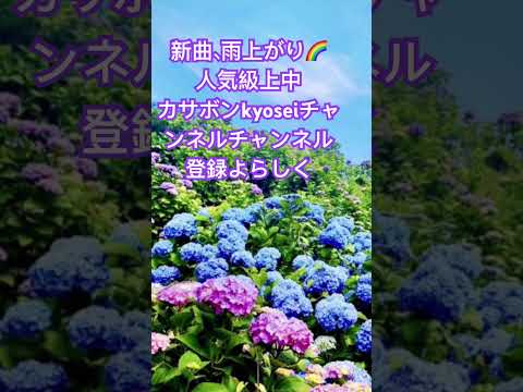 新曲、雨上がり🌈カサボンkyoseiチャンネルにて！チャンネル登録よろしくね😀