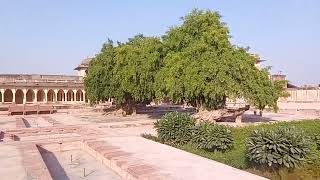 nagaur kile drshye || nagaur fort || नागौर किला || nagaur kila #nagaur #qila #fort
