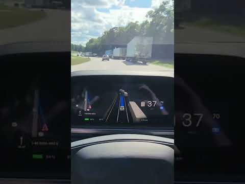Tesla's robotaxi launch is destined to fail! #Tesla #robotaxis #elonmusk #fsd #teslastock #trump