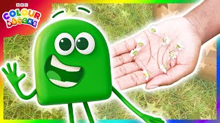 🌼 Making Daisy Chains with Colourblock Green 🟢 | Camp YouTube | Colours for Kids | @colourblocks