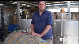Bottling of new CSU wines