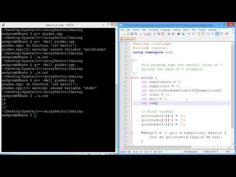 Programming example: 2D arrays