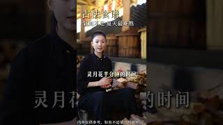 氣皿虚过夏天真的很难熬 #中医#养生#居家锻炼#灵月#补气血