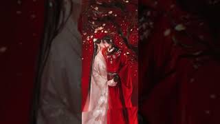 《魔道祖师》《天官赐福》《人渣反派自救系统》