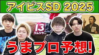【アイビスSD2025・予想】人気から穴馬までうまプロ注目馬を大公開！