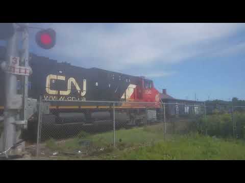 Freight Train