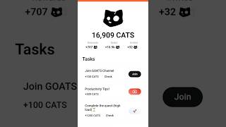Productivity Tips! Cats New Code #cats #crypto