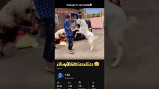 #shortvideos #viral funny 😂 clips video YouTube best short #viralcontent 🌏