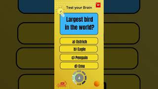 "The World's Largest Bird Revealed! | Fascinating Facts | Brainy Bits #shortfacts