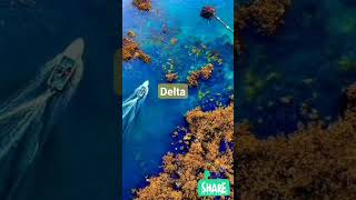The Beautiful State of Delta #deltastate #nature #tourismnigeria
