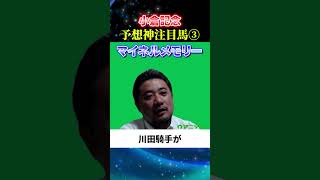 【小倉記念2025】予想神スガダイの注目馬3頭目「マイネルメモリー」#小倉記念2025  #小倉記念 #競馬予想 #マイネルメモリー