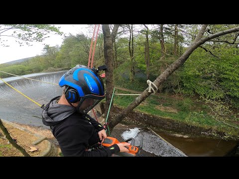 Tree Work With a View | Rigging | 2 ropes