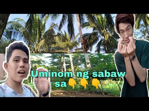 Koreano gusto humigop ng sabaw sa Niyog na hilaw hahahahah😂🤣