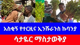 የጫት ቃሚዎች ኢንሹራንስ ኩባንያ 🤣🤣🤣🤣  | seyfuonebs |donkytune  |ወግ |artstv |amhariccomedy