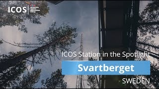 #ICOScapes | Svartberget (Sweden) | Greenhouse gas observations