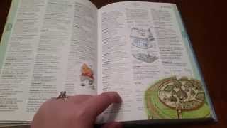 The Usborne Illustrated Dictionary