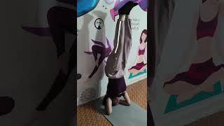 •head stand in yoga•Mukta Hasta Sirsasana A (Tripod Headstand)