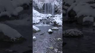 唐沢の滝冬景色