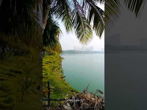 Zee Le Zara Saltlake Sector 5  Zheel Par #shortsvideo #shorts #trending