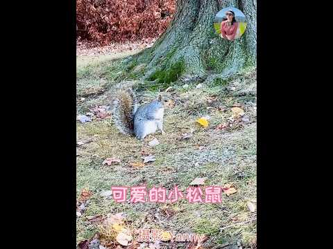 2024年11月18日