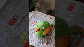 2 Saal lag gaye mujhe yeh DIY banane mein #diy #diyreels #shorts #gardendecor #pebbleart #ytshorts