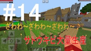 【マイクラPE】#14 サトウキビ畑を作りましょ！