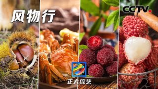 【Full】风物行，大美中国的四季风物都在这里！盘点共同走过的绚烂风景 | CCTV「正大综艺」20221218
