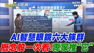 AI智慧眼鏡六大族群！台廠概念股一次看 PI產業大躍進！AI眼鏡第一股 專家揭密"達邁"有機會？｜【Catch大錢潮】94要賺錢