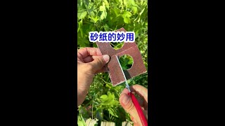 砂纸的妙用