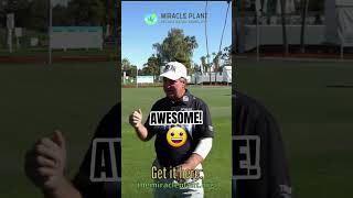 The Great Power of CBD #reels #backpain #anxietyfree #hemp #cbda #cbdoils