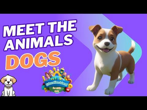 I’m a Happy Dog 🐶 | Meet the Animals Series | Preschool Songs for Kids | Joyful Dog Song