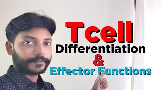 T Cell Differentiation & Effector Function, Subsets of Th cells (Th1, Th2, Th17, ThFH, iTreg)