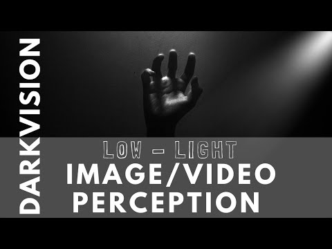 DarkVision - Setting the Benchmark for Low Light Image and Video Perception